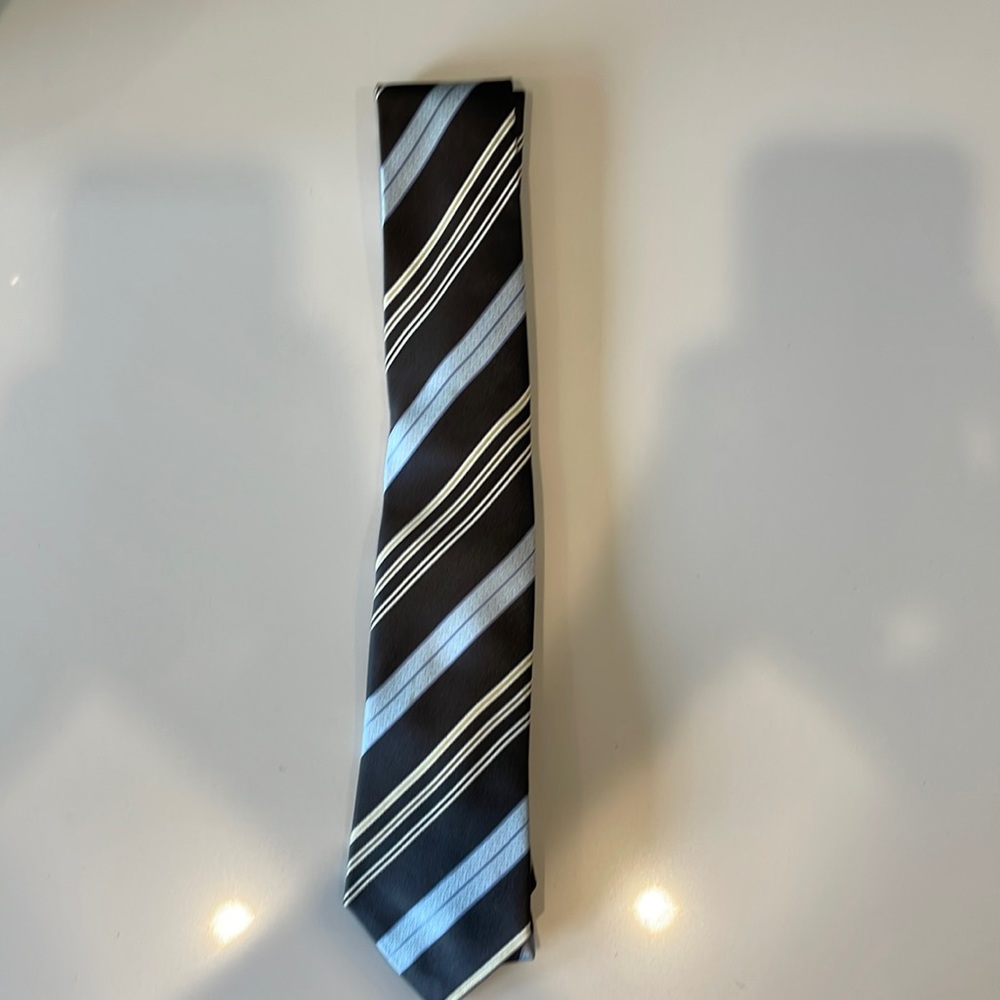 Zegna tie